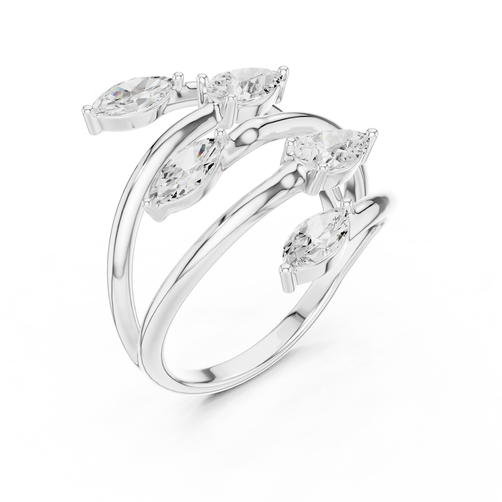 The Fancy Ring