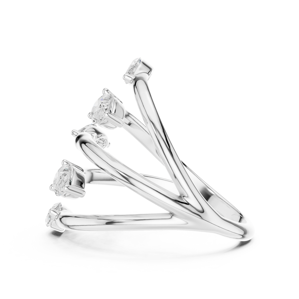 The Fancy Ring