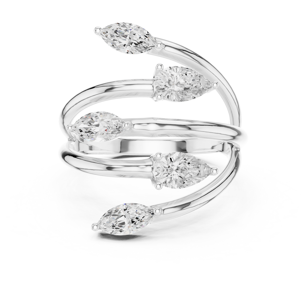 The Fancy Ring