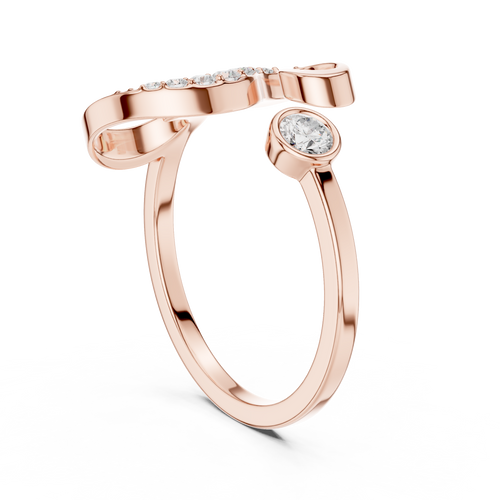 The Fancy Ring