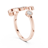 The Fancy Ring