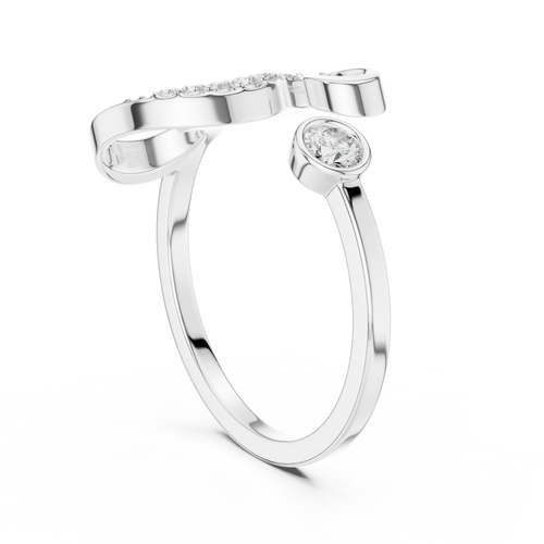 The Fancy Ring
