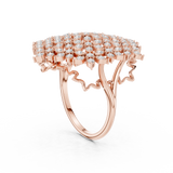 The Fancy Ring
