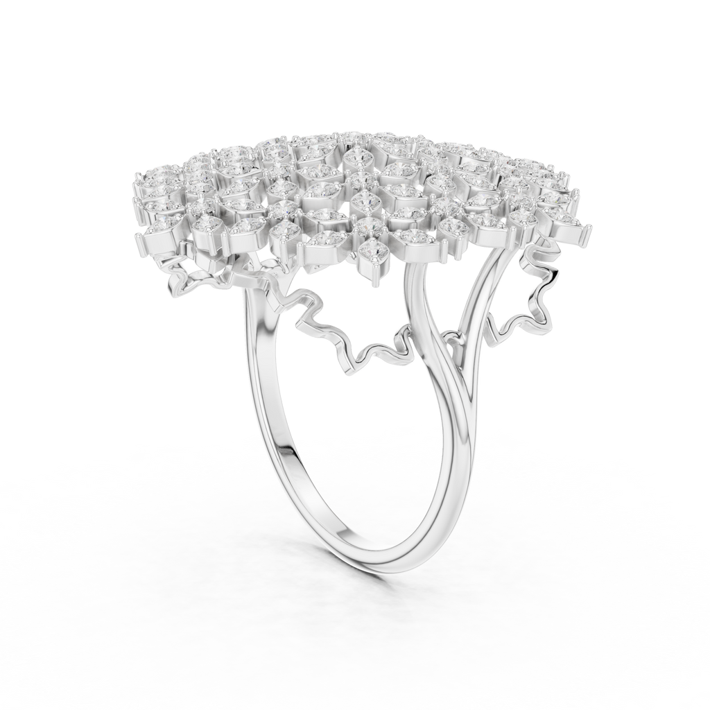 The Fancy Ring