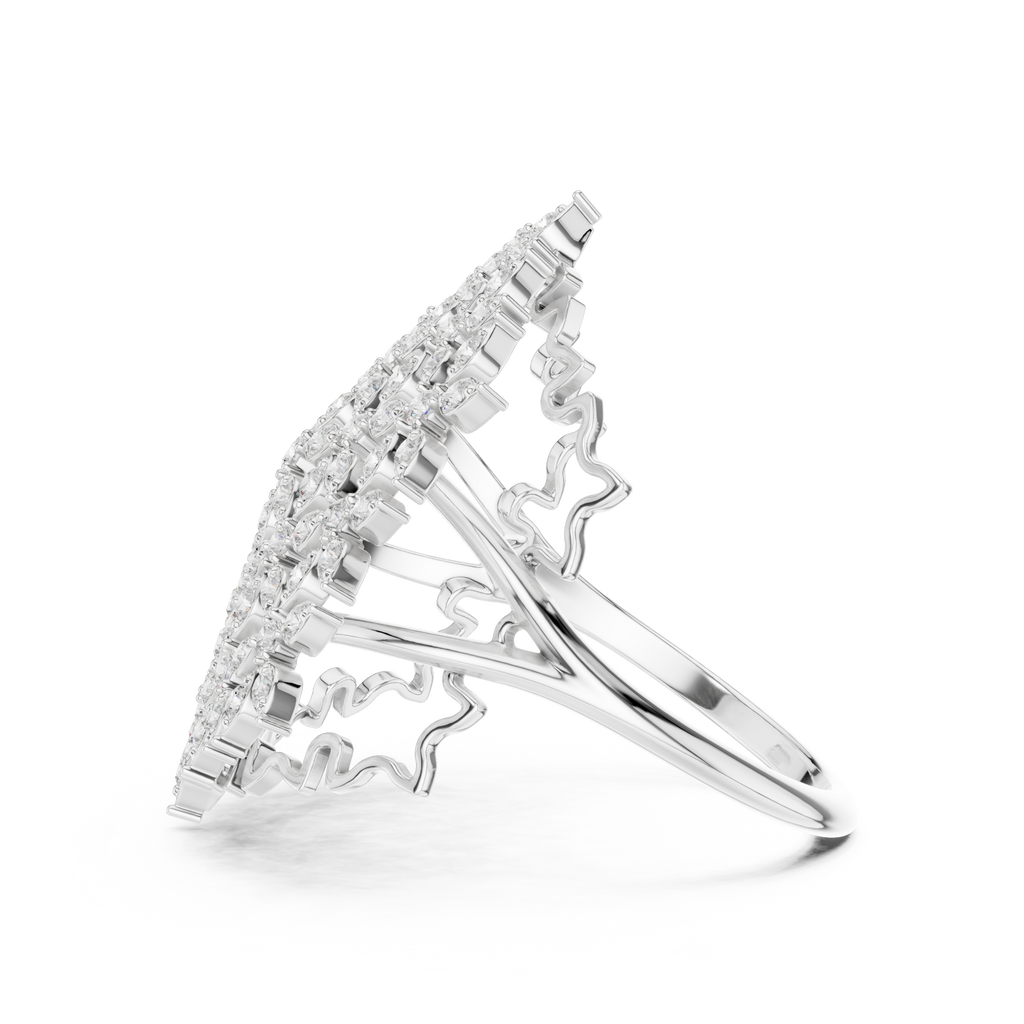 The Fancy Ring