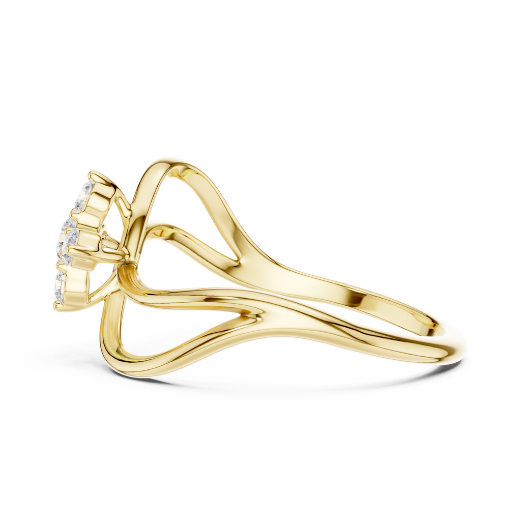 The Essential Ring