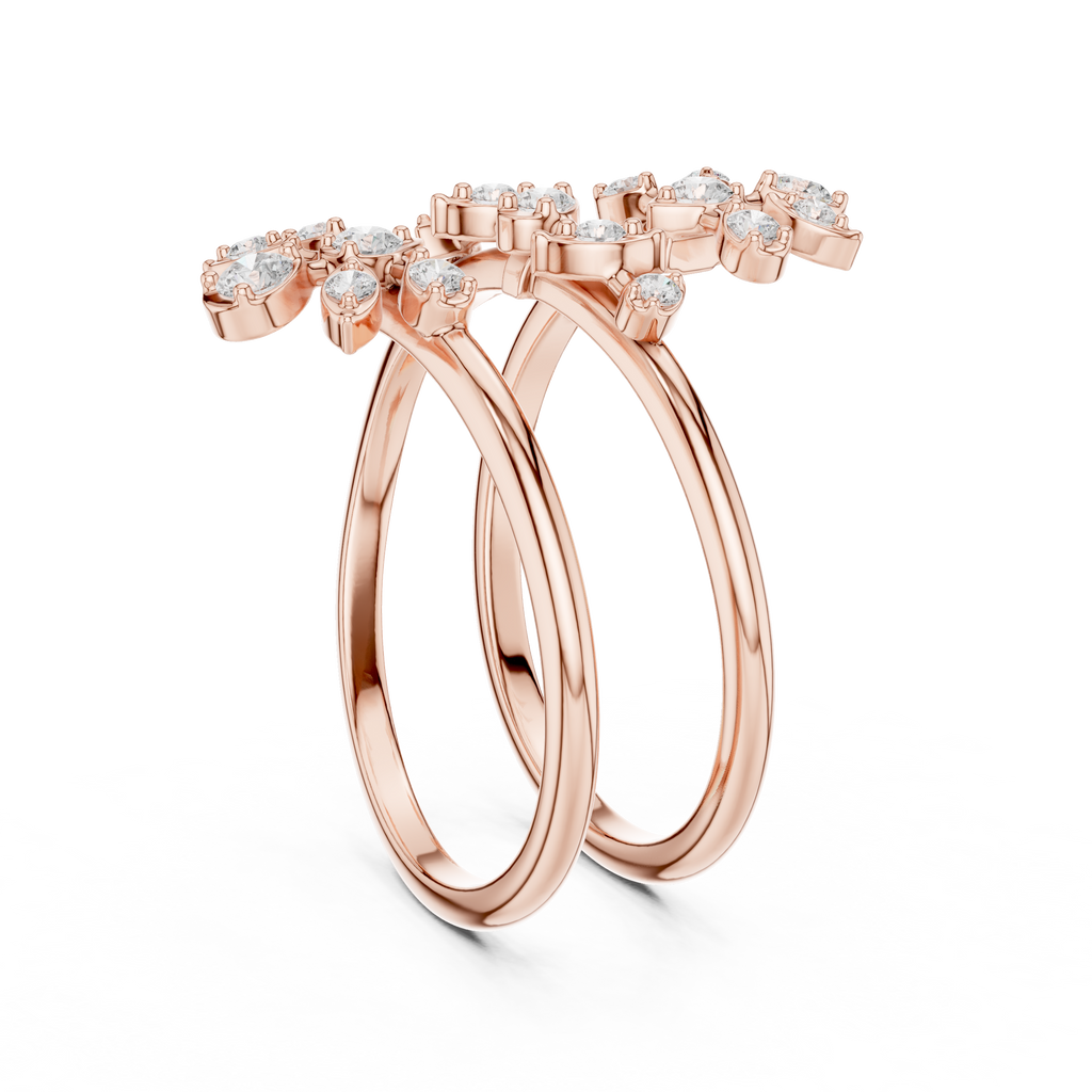 The Fancy Ring