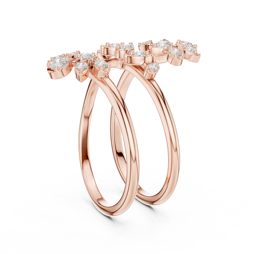 The Fancy Ring