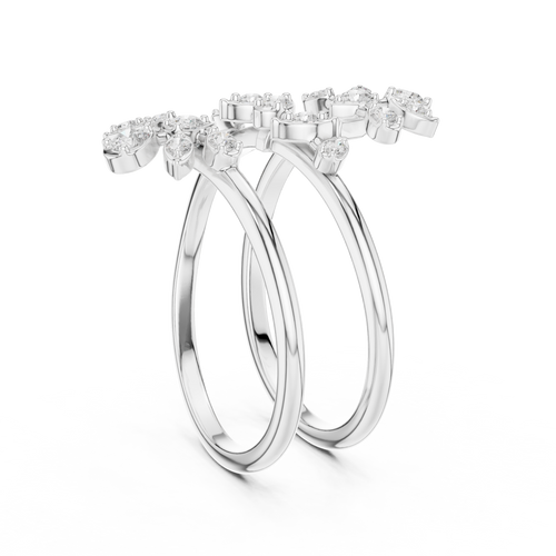 The Fancy Ring
