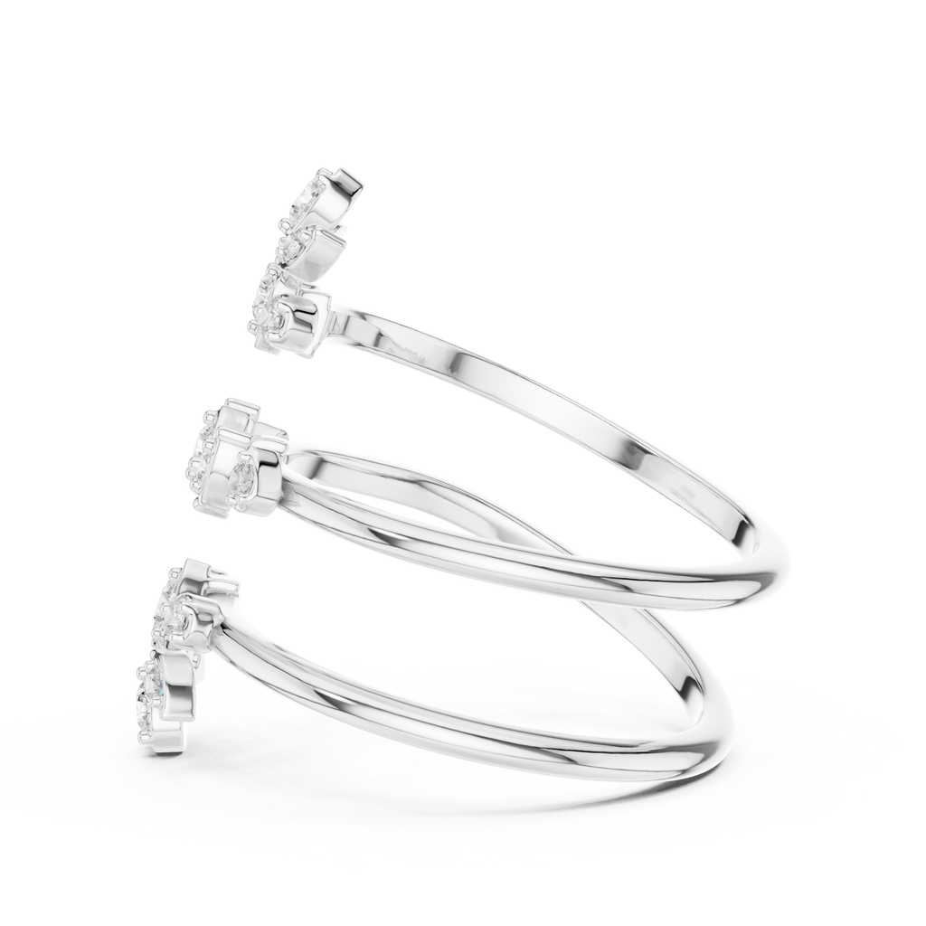 The Fancy Ring