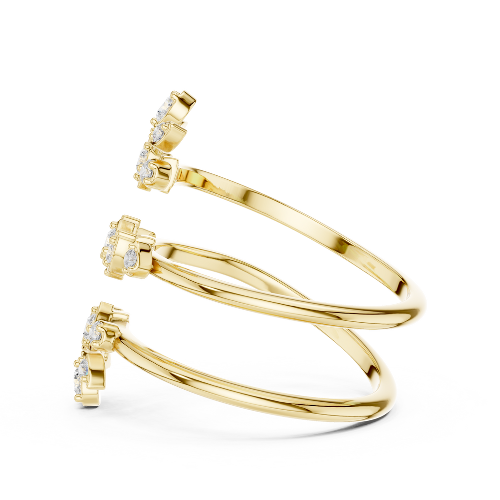 The Fancy Ring