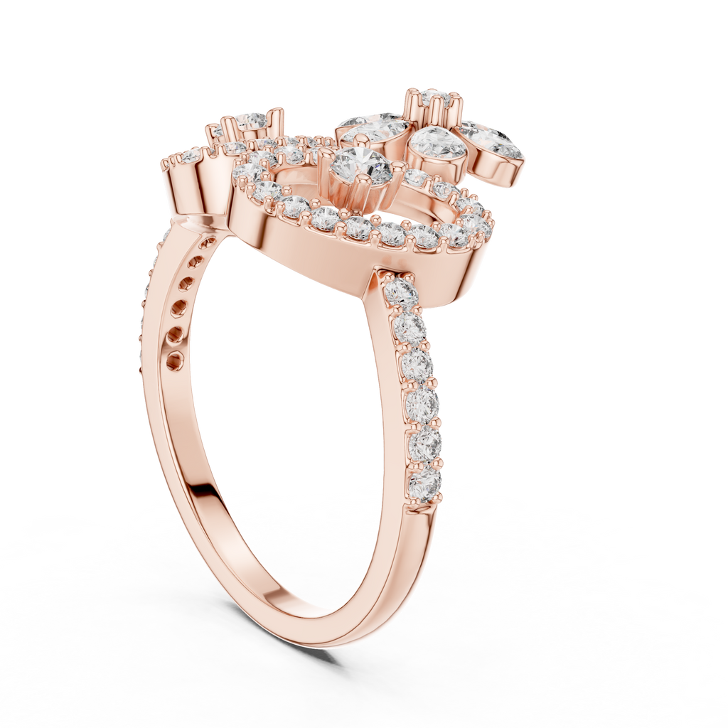 The Fancy Ring
