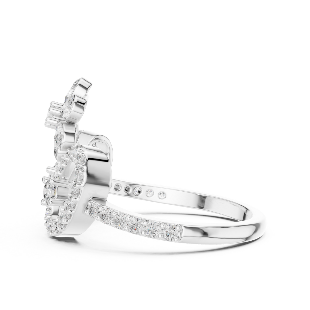 The Fancy Ring