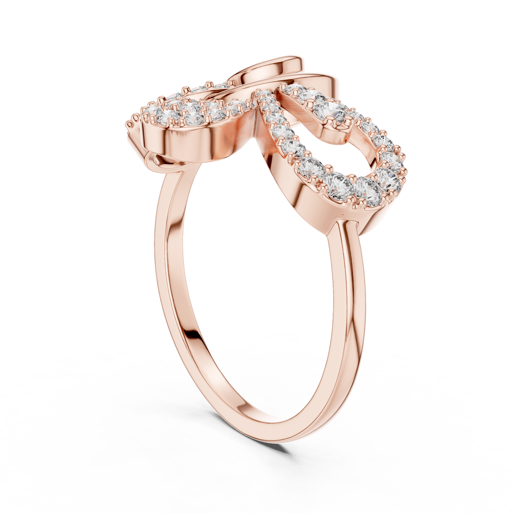 The Fancy Ring