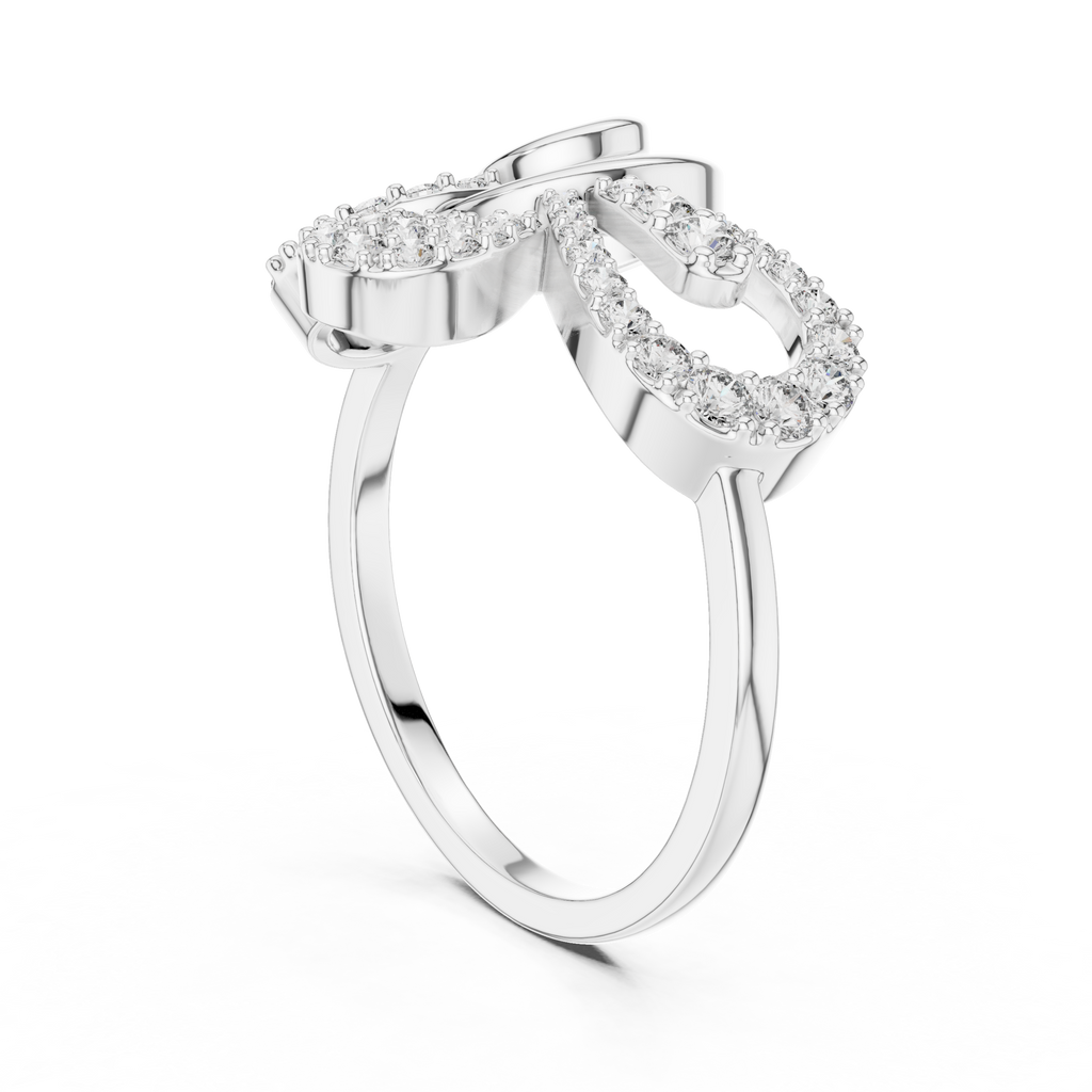 The Fancy Ring