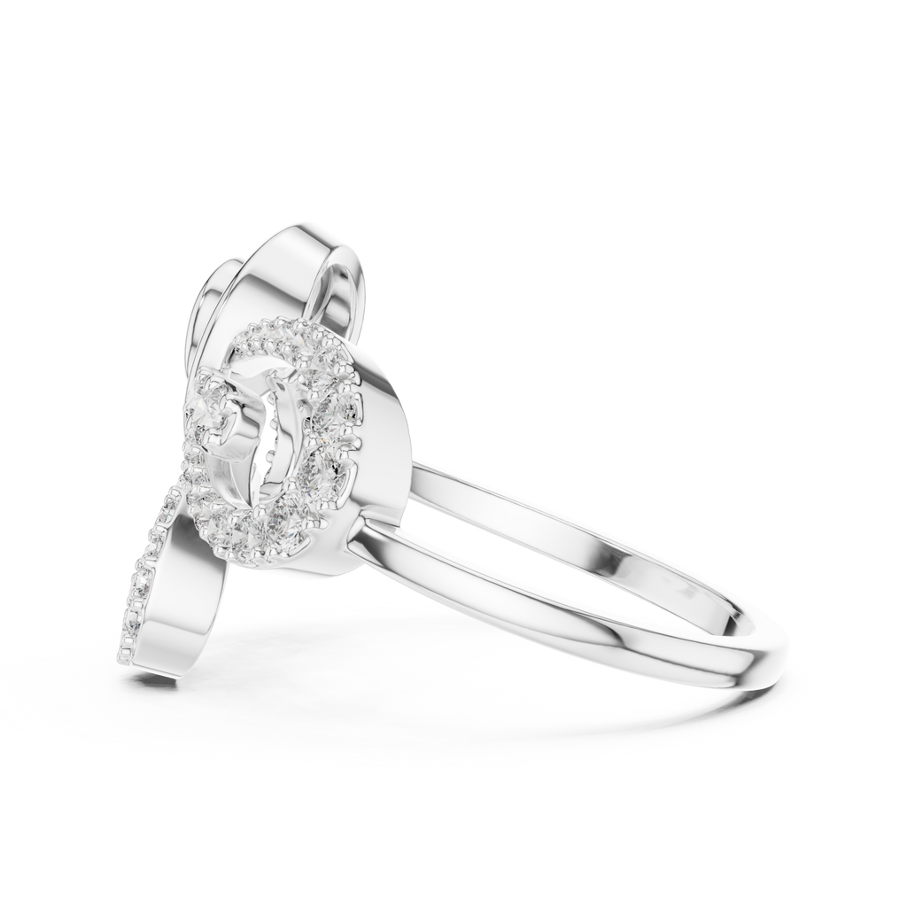 The Fancy Ring