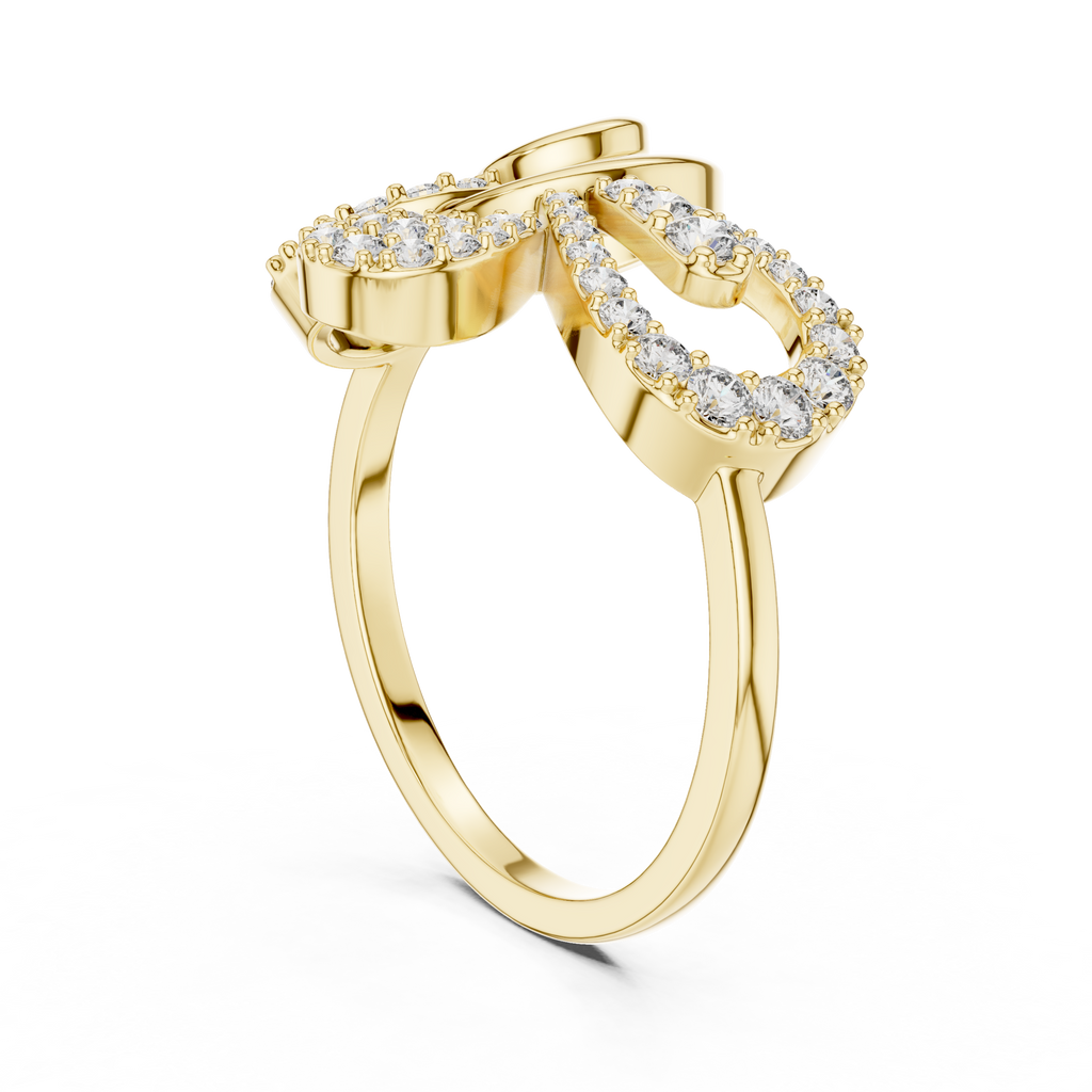 The Fancy Ring