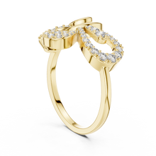 Load image into Gallery viewer, The Fancy Ring