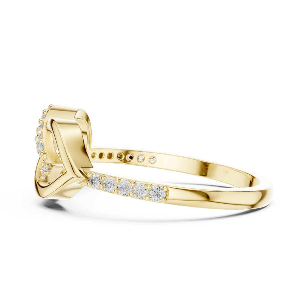The Essential Ring