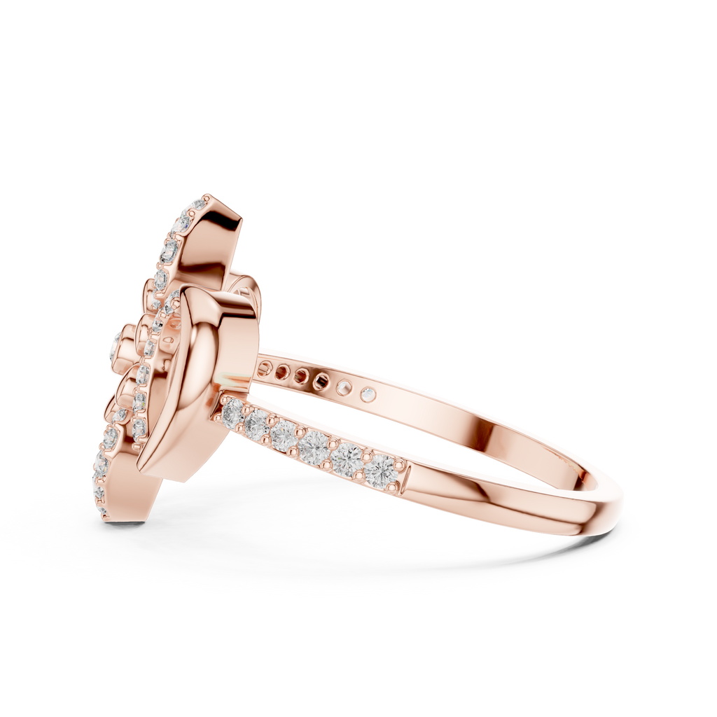 The Fancy Ring