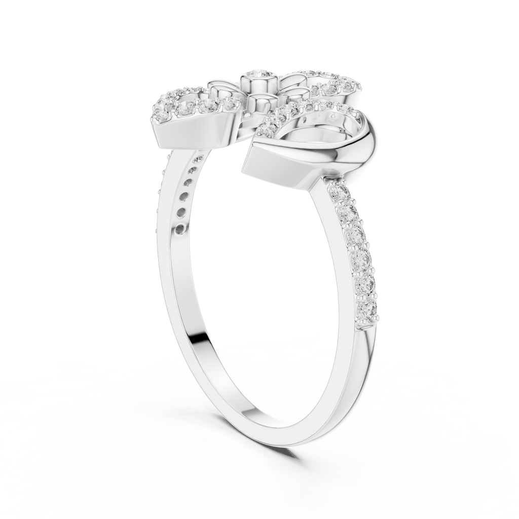 The Fancy Ring