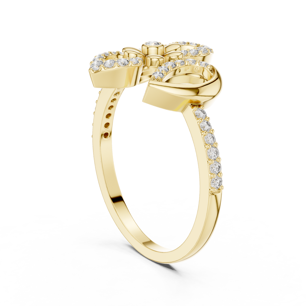 The Fancy Ring