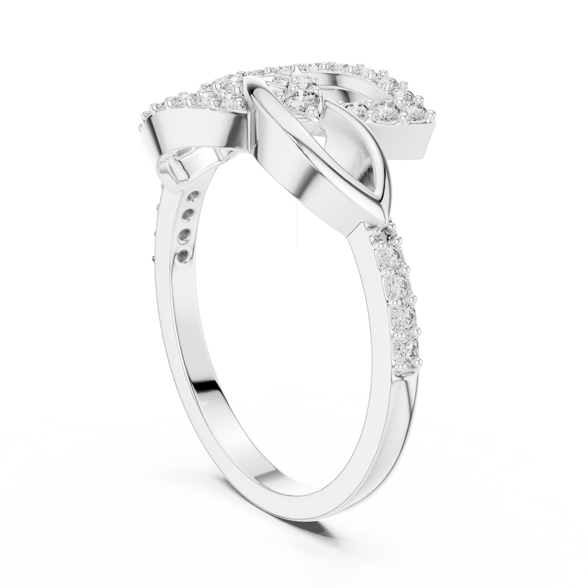 The Fancy Ring