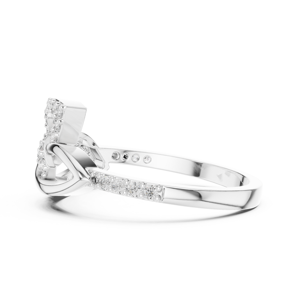 The Fancy Ring
