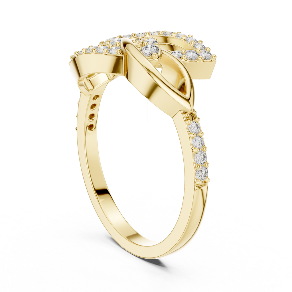 The Fancy Ring