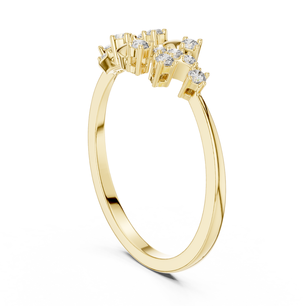 The Essential Ring