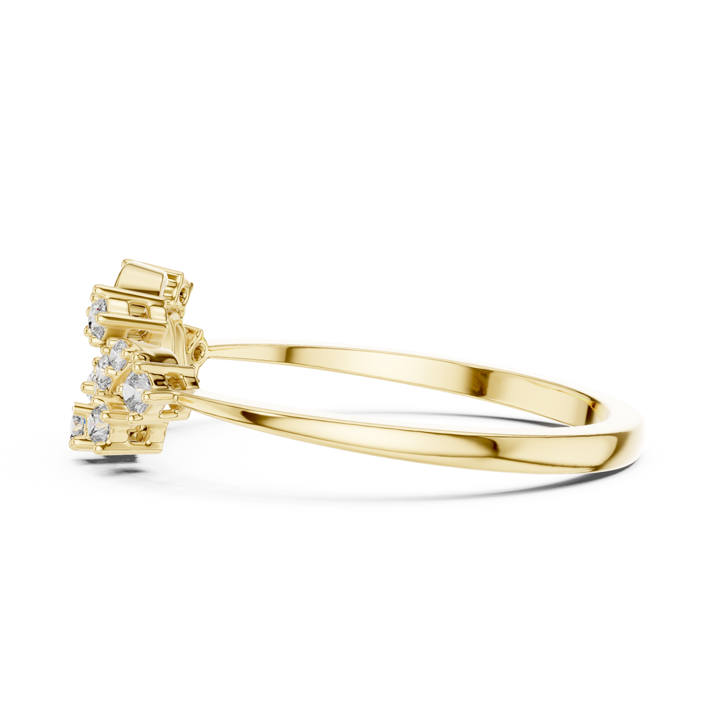 The Essential Ring