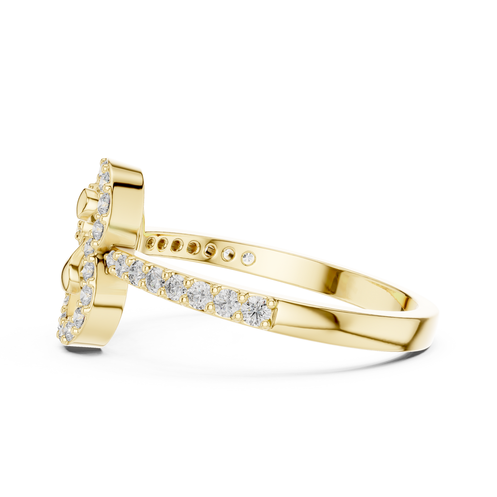 The Essential Ring