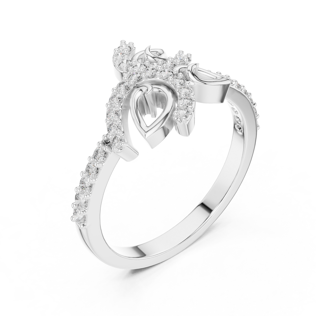 The Fancy Ring
