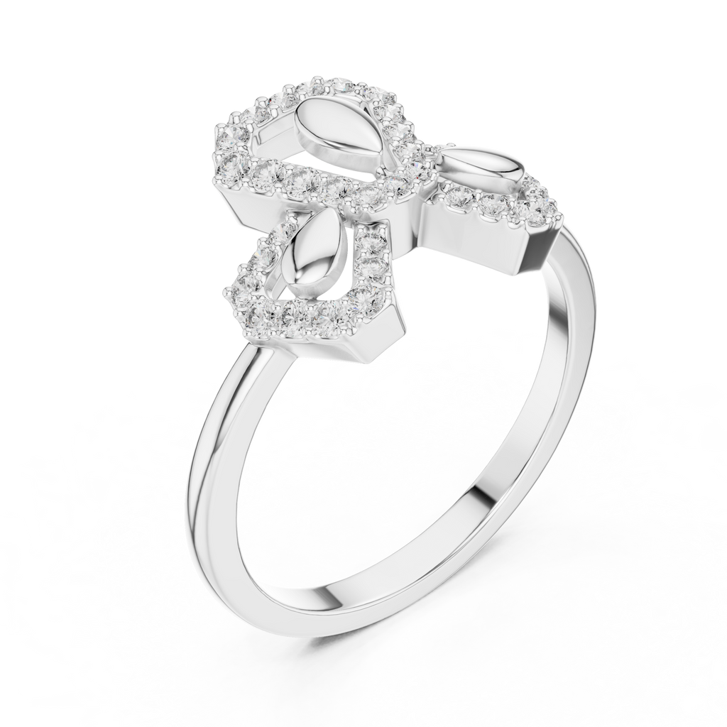 The Fancy Ring