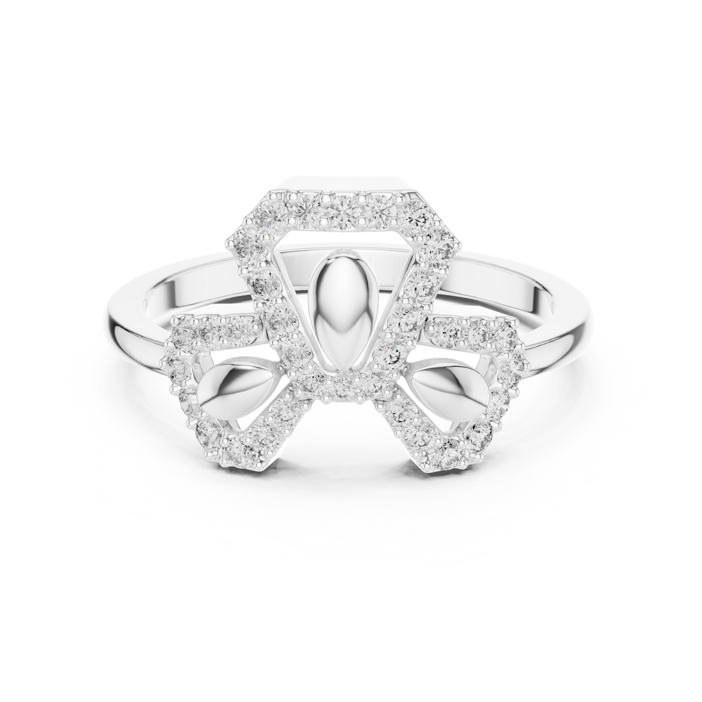 The Fancy Ring