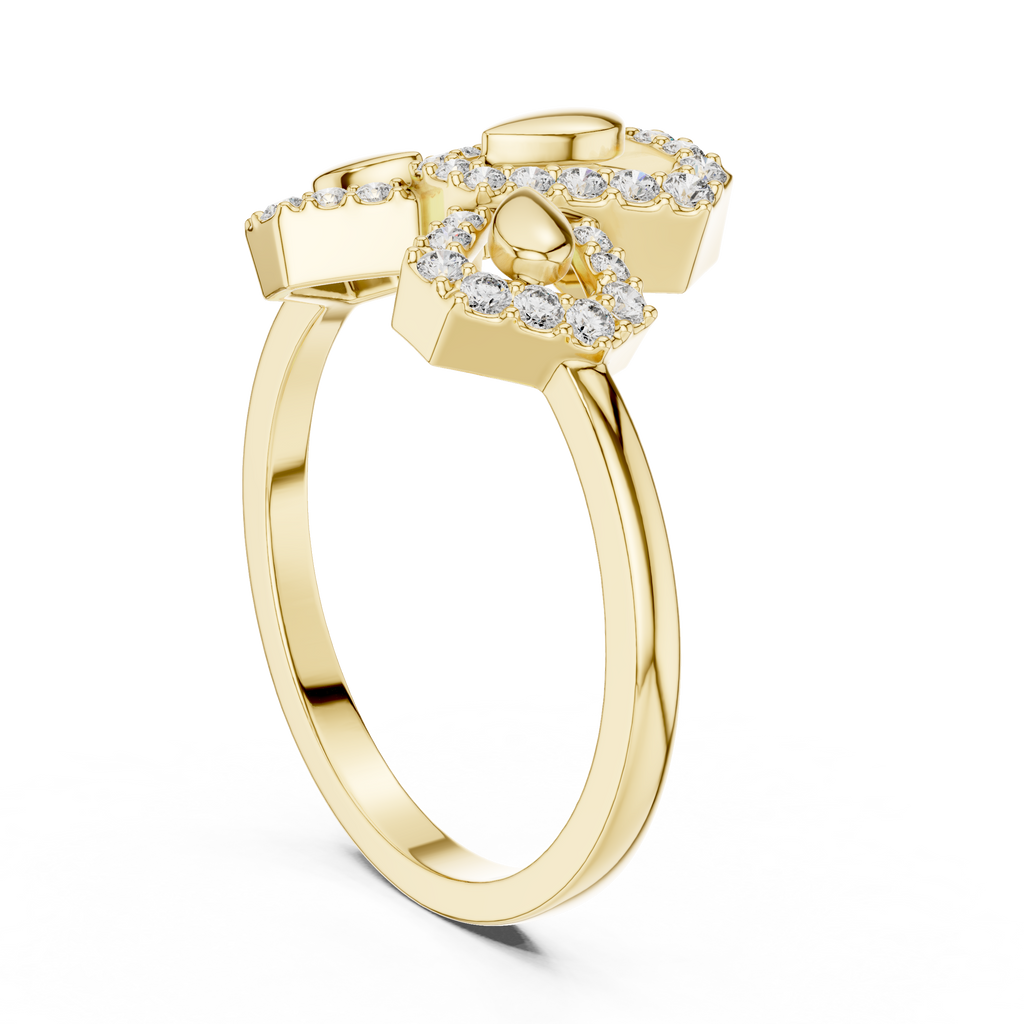 The Fancy Ring