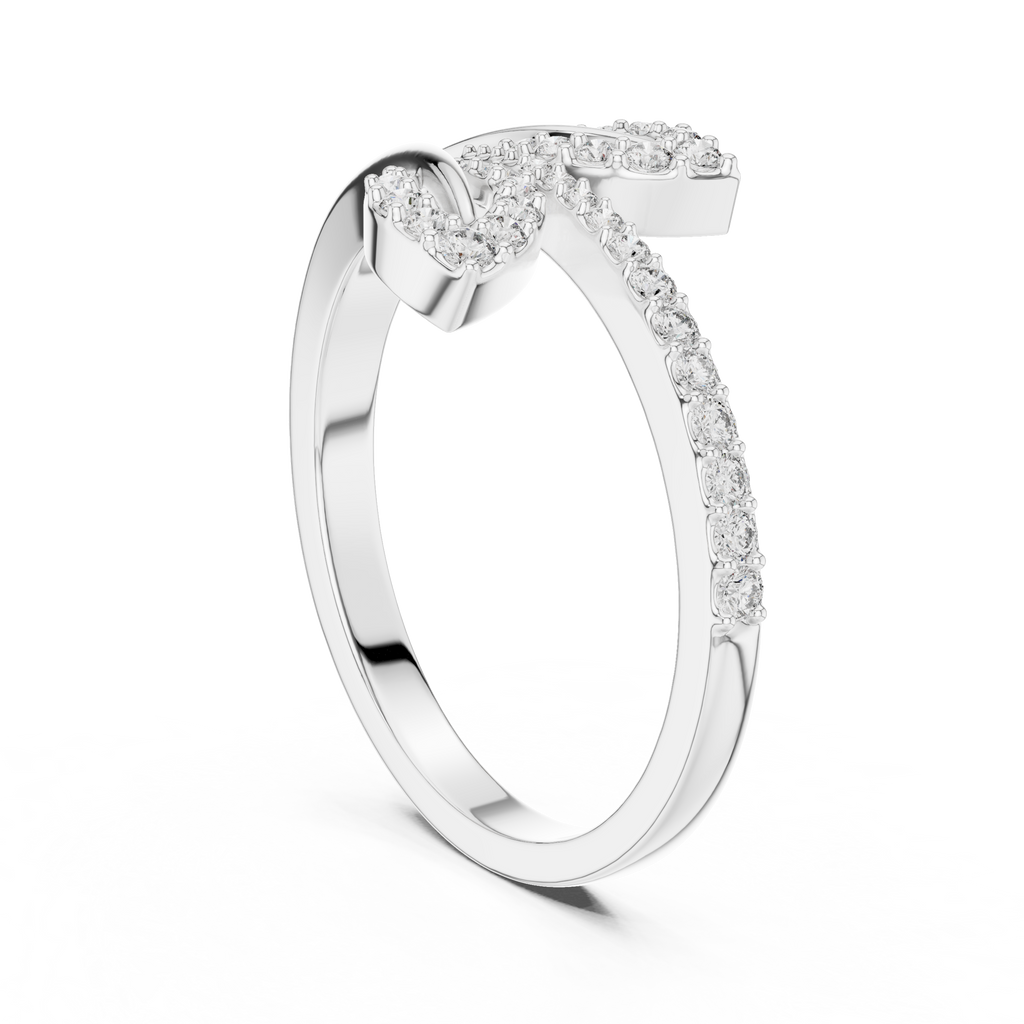 The Fancy Ring