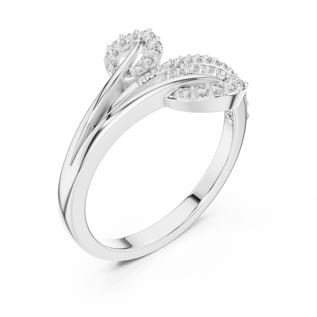 The Fancy Ring