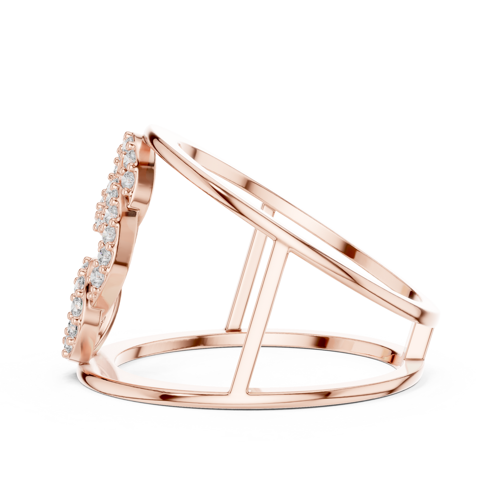The Fancy Ring