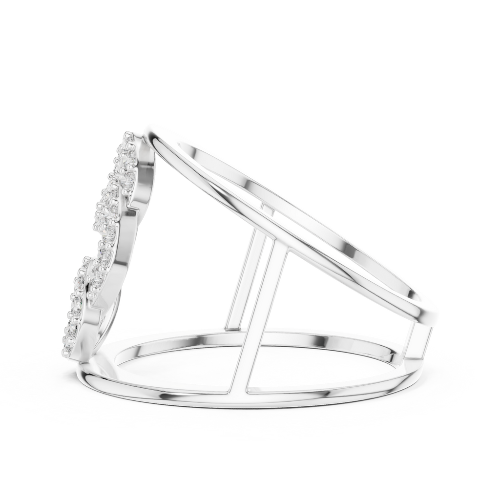 The Fancy Ring