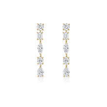 Load image into Gallery viewer, Fancy Shape Earrings