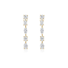 Load image into Gallery viewer, Fancy Shape Earrings